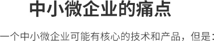中小微企业的痛点 一个中小微企业可能有核心的技术和产品，但是：